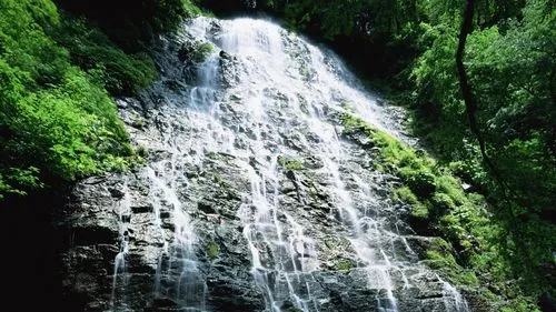 智能环保